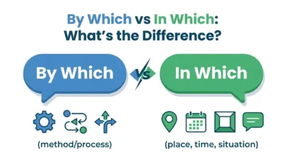 By Which vs In Which